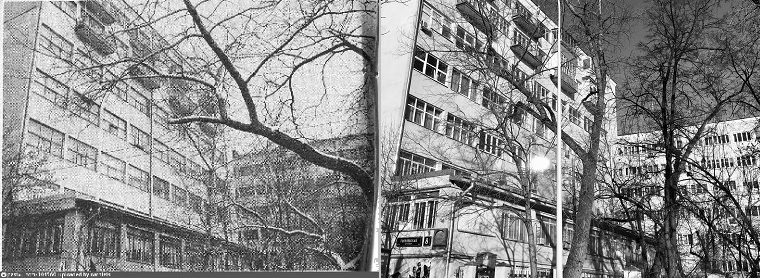 Гоголевский бульвар д.8. Фото 1960-х годов (взято на сайте pastvu.com) и 2019 год