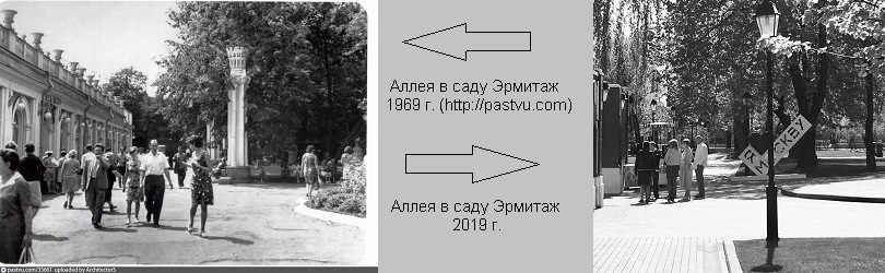 Аллея в саду Эрмитаж 1969 г. (с сайта pastvu.com) и 2019 г.