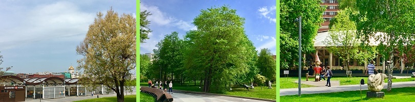 парк Музеон 2019 г.